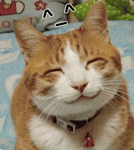 happy_lolcat